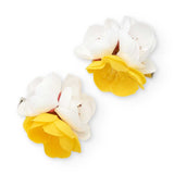 SET 2 MOLLETTINE PER CAPELLI