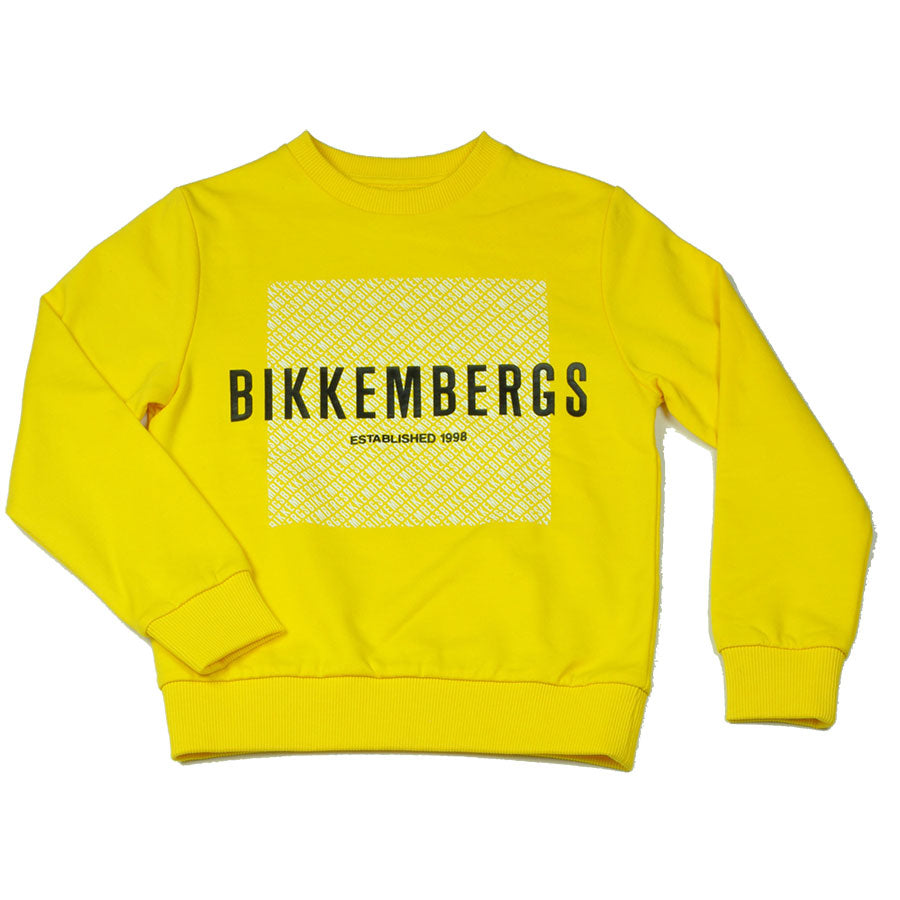 
  Felpa della Linea Abbigliamento Bambino Bikkembergs con stampe di logo sul davanti.



   



...